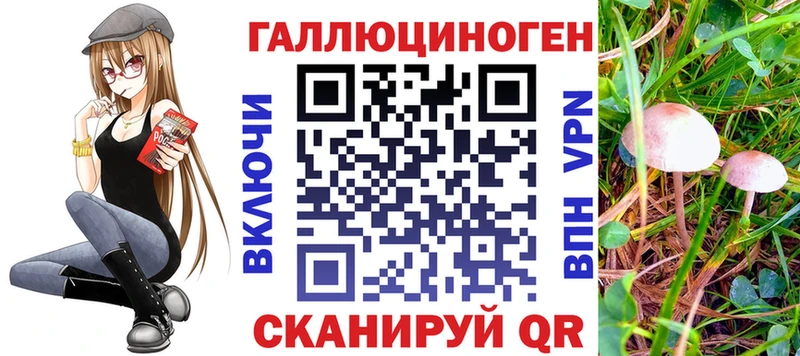 Купить где  Уфа  Галлюциногенные грибы прущие грибы 